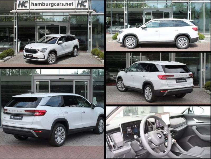 Skoda Kodiaq Selection 2.0TDI AHK 13"Navi 19"Alu As...