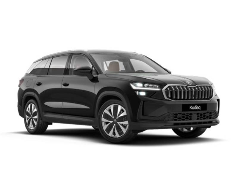Skoda Kodiaq 1.5 TSI iV Selection LEDER MATRIX CANTON