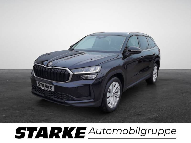 Skoda Kodiaq 2.0 TDI DSG Selection AHK Navi LED Kamer