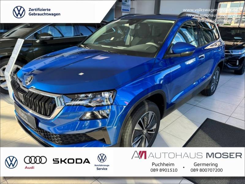 Skoda Karoq Balance Assist Plus*Navi*AHK!