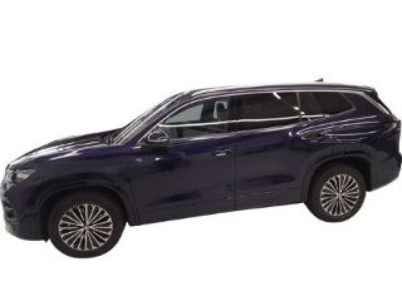 Volkswagen Tayron 2.0 TDI DSG 4Motion R-Line +StandHZG +AHK