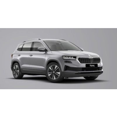 Skoda Karoq 4x4 Selection TDI DSG - Vorlauf September
