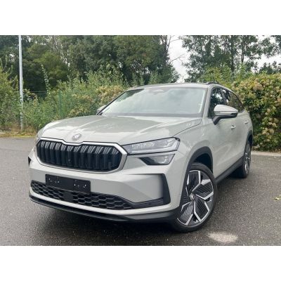 Skoda Kodiaq 1.5 TSI mHEV/ Canton / Massage/20"