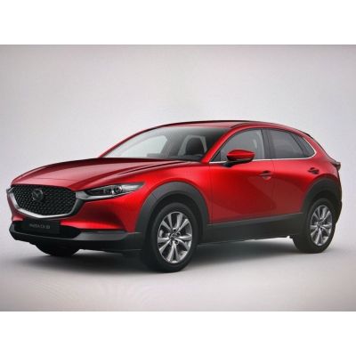 Mazda CX-30 2.5 140 PS e-SKYACTIV G Exclusive Automati