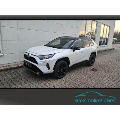 Toyota RAV4 2.5 Style MJ25 Smart Entry*Leder*Totwinkel