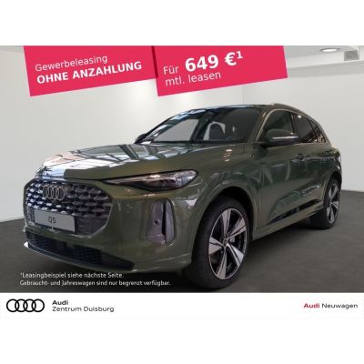 Audi Q5 TDI quattro S tronic AHK-klappbar Navi Leder 