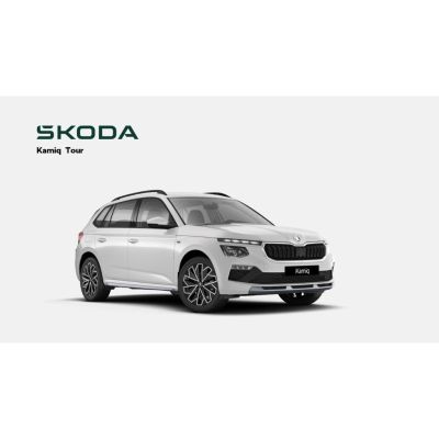 Skoda Kamiq Selection 1.5 TSI*AHK*INFOTAINMENT*