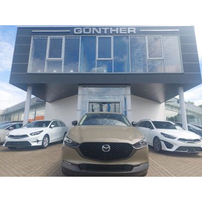 Mazda CX-30 2.5L e-SKYACTIV G 140ps Nagisa,Automatik,s