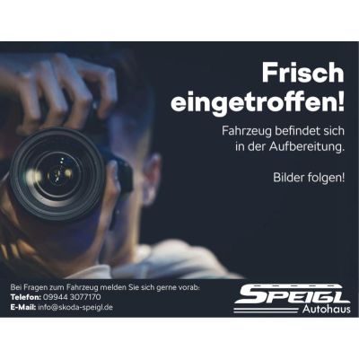 Skoda Kamiq Selection 1.5l TSI Klima Einparkhilfe