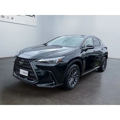 Lexus NX 450h+ E-FOUR Executive Line *HUD*360*Pano*LED