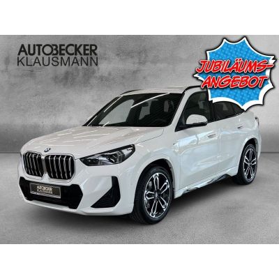 BMW X1 xDrive20 M Sport LMR 19'' AD AHK-klappbar Nav