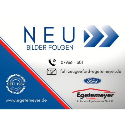 Ford Transit Kasten 350 L2 Trend AHK RFK PDC BLIS SPA