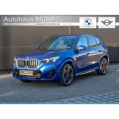BMW X1 sDrive20i M Sport H/K AHK Komfort Totwinkel