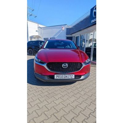 Mazda CX-30 2.5L e-SKYACTIV G 140ps Homura, 140 PS, Si