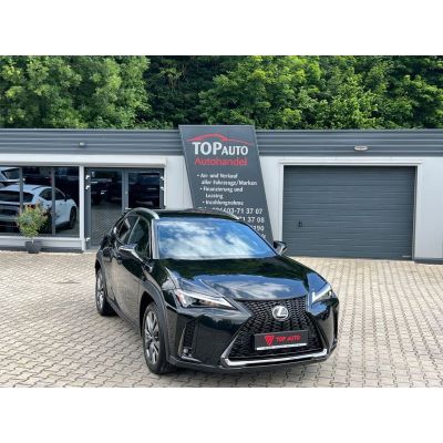 Lexus UX 300 h F Sport Design.LED.Kamera.ACC