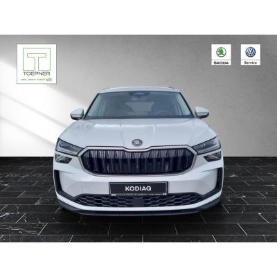 Skoda Kodiaq 2.0 TDI 142 kW 4x4 Selection AHK WINTER