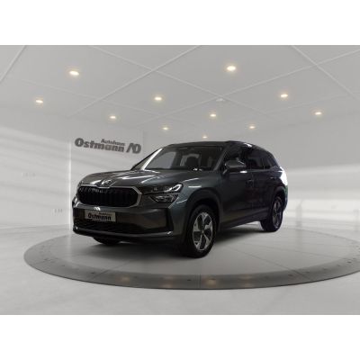 Skoda Kodiaq 2.0 TDI DSG AHK ACC RFK PDC NAVI FSE