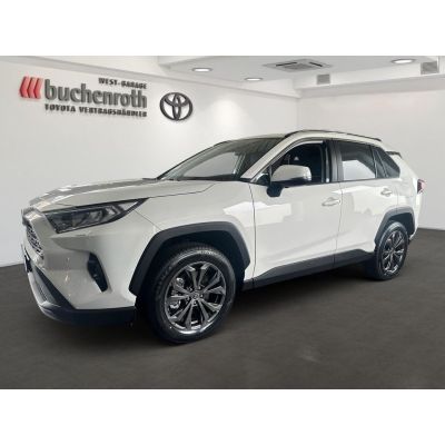 Toyota RAV4 Hybrid 4x4 Team D+Leder