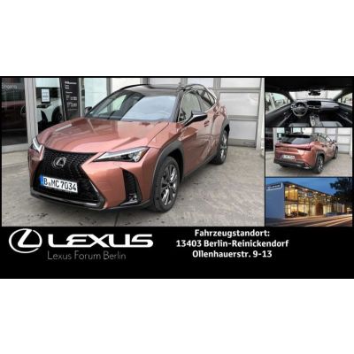 Lexus UX300h F-SPORT DESIGN *Sonderedition*