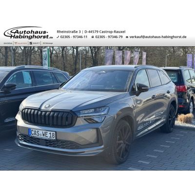 Skoda Kodiaq II 2.0 TDI DSG 4x4 Sportline 360 Standhzg