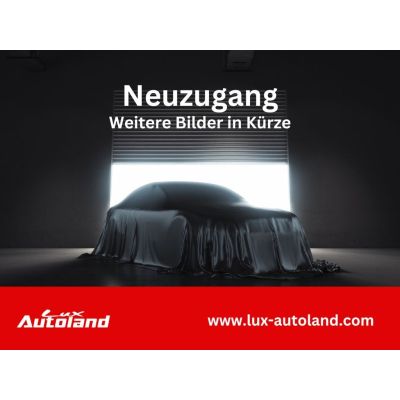Volkswagen T-Roc 1.5 TSI DSG R-Line ACC 19´ Kamera AHK