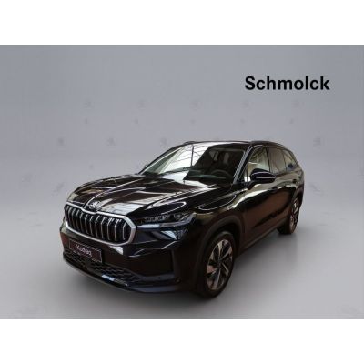 Skoda Kodiaq Selection 2.0 TDI DSG 4x4 193 PS NAVI LED
