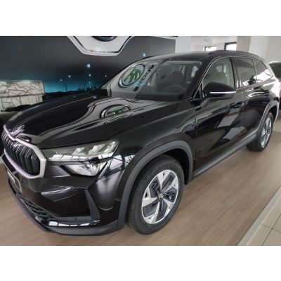 Skoda Kodiaq 2,0 TDI DSG Select 7-Si AHK EHK Matr Navi
