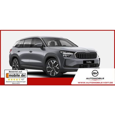 Skoda Kodiaq Selection 2.0 TDI 193PS DSG 4x4 NAVI S...