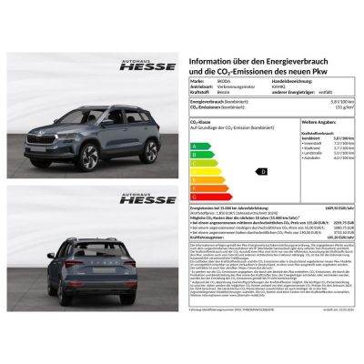 Skoda Kamiq 1.5 TSI Tour DSG, 18" Alu, AHK, Matrix, Na