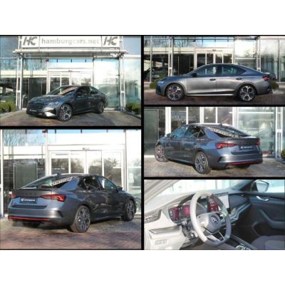 Skoda Octavia RS 2,0TSI 19" AHK DCC CANTON WinterPa...
