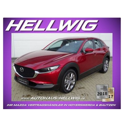 Mazda CX-30 2.0l Skyactiv-X Centre-Line Navi Kamera 20