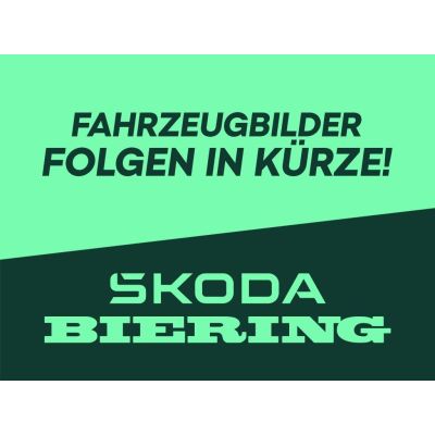 Skoda Kodiaq 1.5 TSI mHEV Selection PANO 360° 7-SITZER