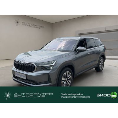 Skoda KODIAQ 2.0 TDI SELECTION*WINTER*DSG*KLIMAAUTOM.