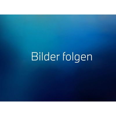 BMW X1 sDrive18d SAV DAB LED Pano.Dach Komfortzg.
