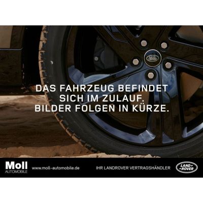Land Rover Defender 110 X-Dynamic HSE D250 Mild-Hybrid Luft