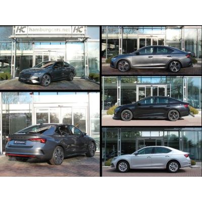 Skoda Octavia RS 2,0TSI DSG 19" DCC CANTON WinterPa...
