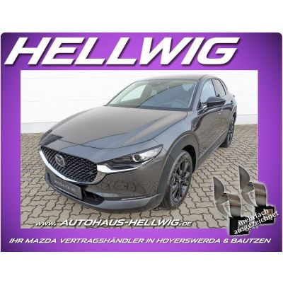 Mazda CX-30 2.5l (140PS) Homura Navi LED Kamera 2025 N