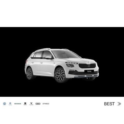Skoda Kamiq Tour 1,5 TSI 110 kW 6-Gang / AHK / Fahrass
