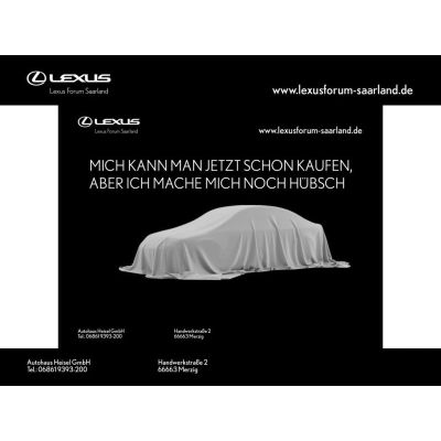 Lexus NX 450 h+ E-Four Executive Interieur Technik
