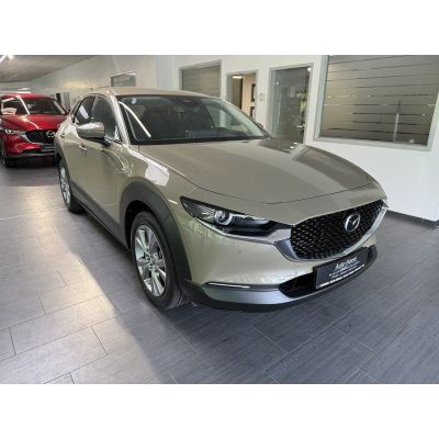 Mazda CX-30 2.5 140PS Homura Voll-LED Navi ACAA PDC Al