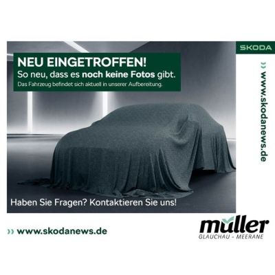 Skoda Octavia Combi Selection SmartLink Kamera PDC