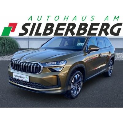 Skoda Kodiaq 2.0 TDI 4x4 DSG Selection Vollausstattung