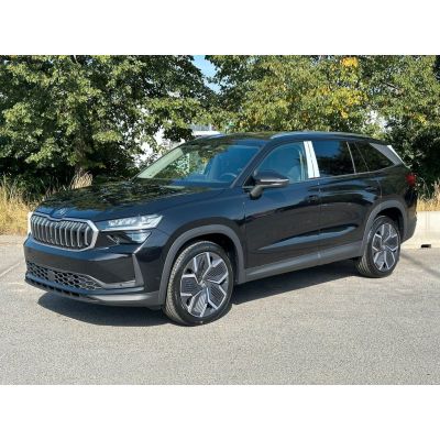 Skoda Kodiaq Exclusive 2.0TDi 4x4 ACC Leder LM20"AHK