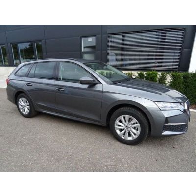 Skoda Octavia Combi 2,0 TDi Selection AHK SHZ Lade Kam
