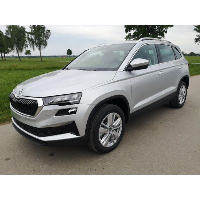 Skoda Karoq 2.0 TDI Selection DSG GV5 AHK 17