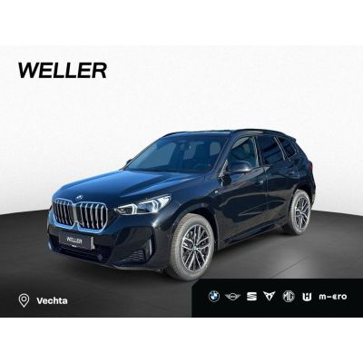 BMW X1 sDrive20i M Sport AHK elektr. Sitze Travel
