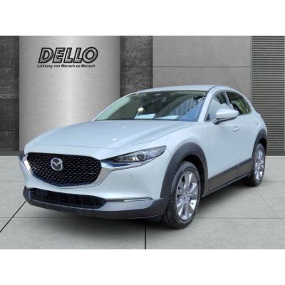 Mazda CX-30 Centre-Line 2.5 M-Hybrid Design-Paket HUD 