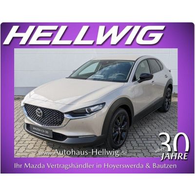 Mazda CX-30 2.5l (140PS) Homura Kamera Navi 2025 NEU