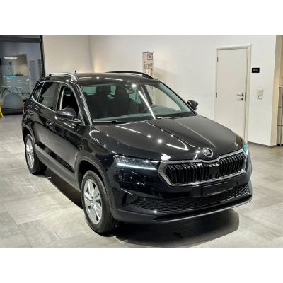 Skoda Karoq 2.0 TDI 4X4 DSG Selection AHK ACC Navi Kam