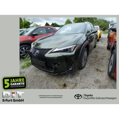 Lexus UX 300 h 300h F Sport Design ACC FLA SpurH LED
